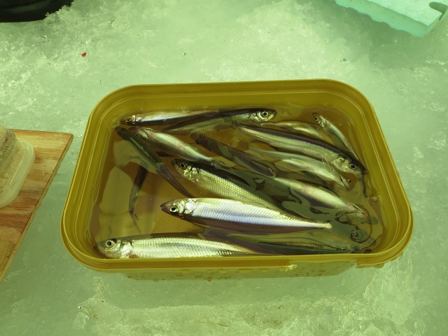 ファイル 13-6.jpg