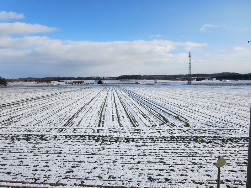 ファイル 131-3.jpg