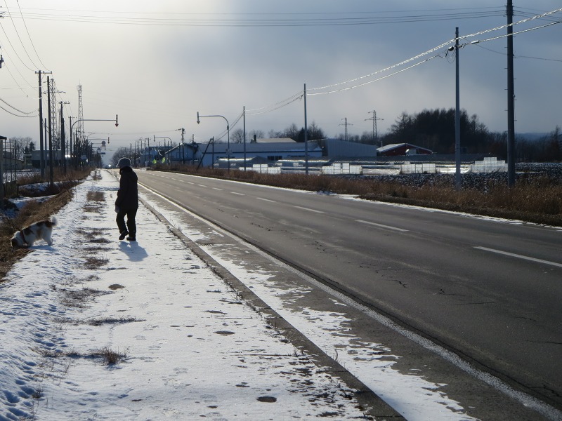 ファイル 131-4.jpg