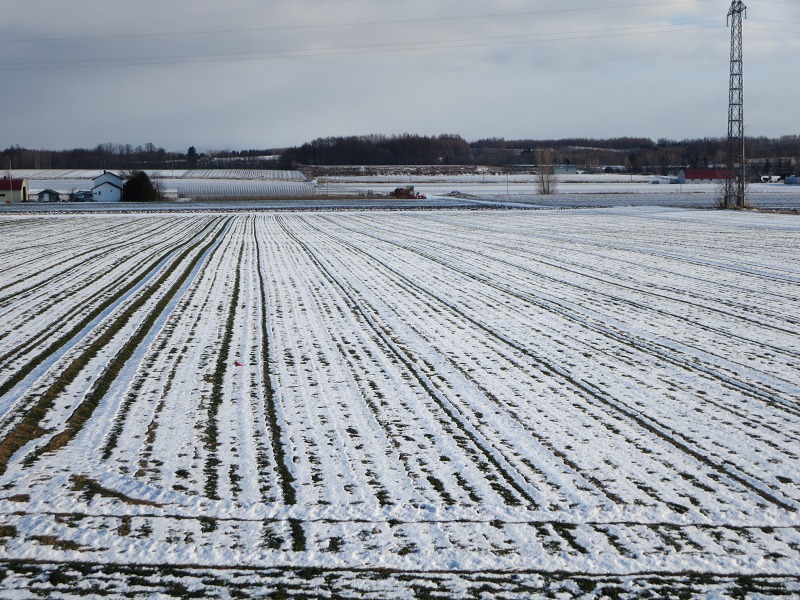 ファイル 131-5.jpg