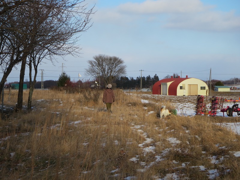 ファイル 131-7.jpg