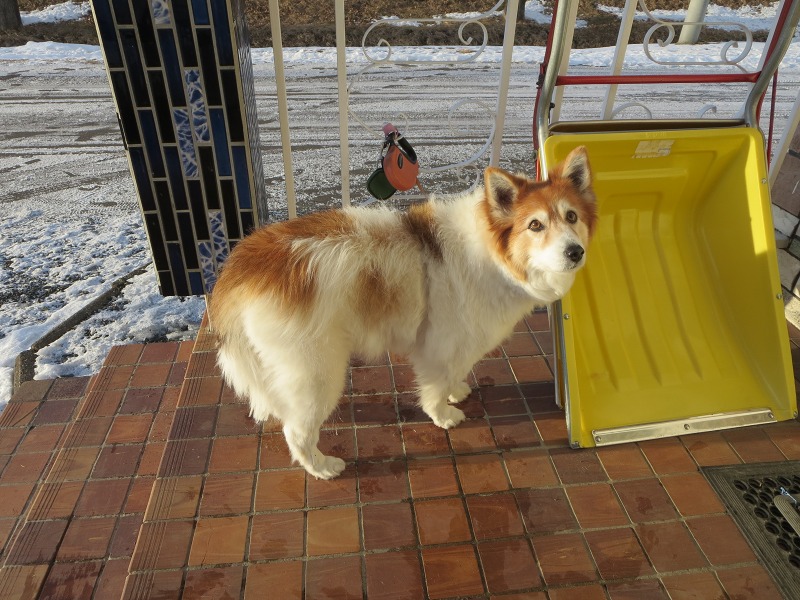 ファイル 131-8.jpg