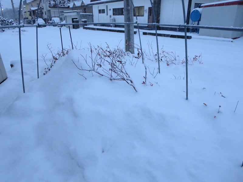 ファイル 132-3.jpg