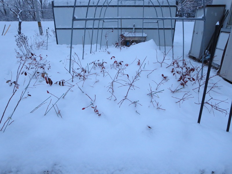 ファイル 132-4.jpg