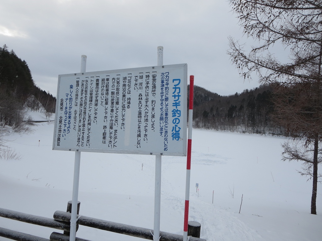 ファイル 15-1.jpg