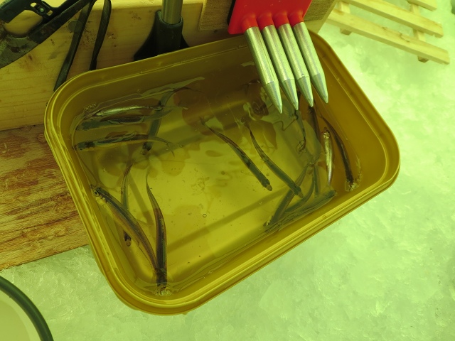 ファイル 15-2.jpg