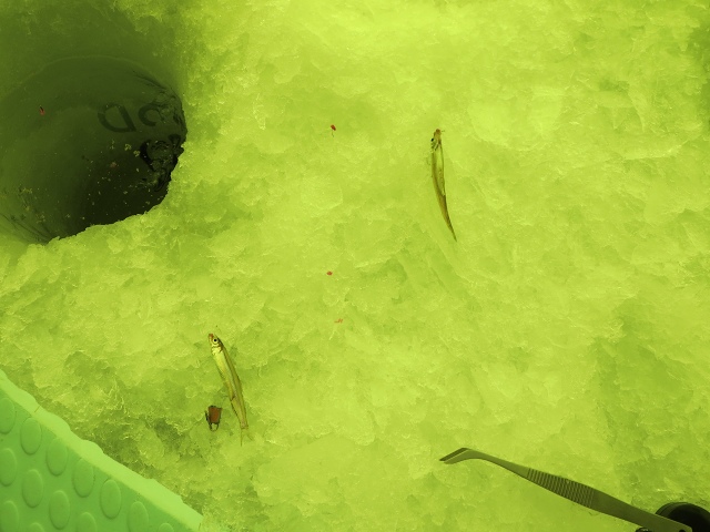 ファイル 15-5.jpg