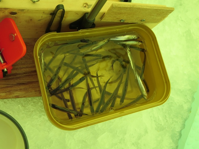 ファイル 15-8.jpg