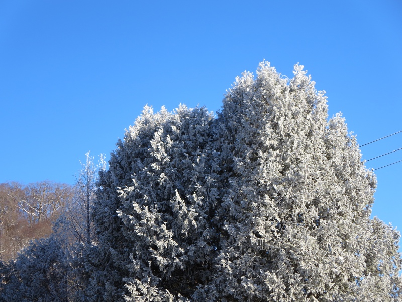 ファイル 16-2.jpg