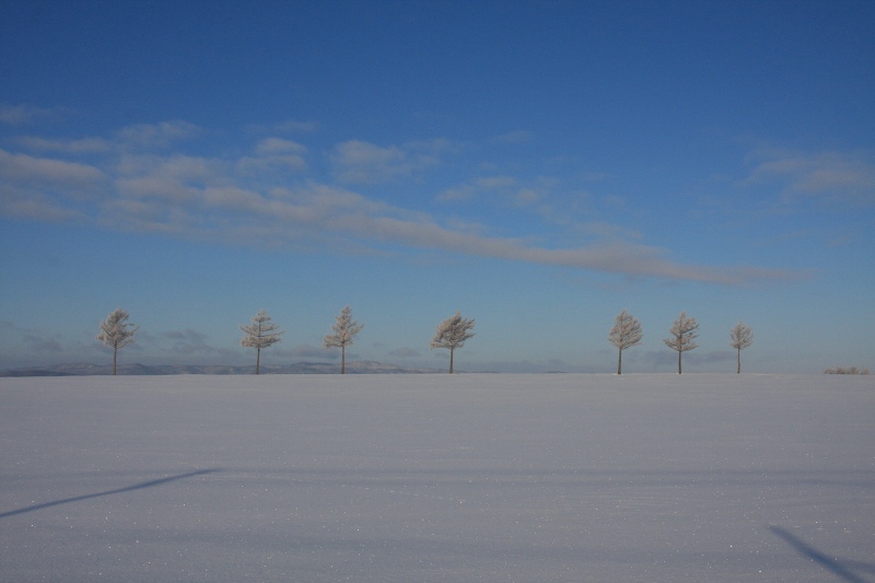 ファイル 16-4.jpg