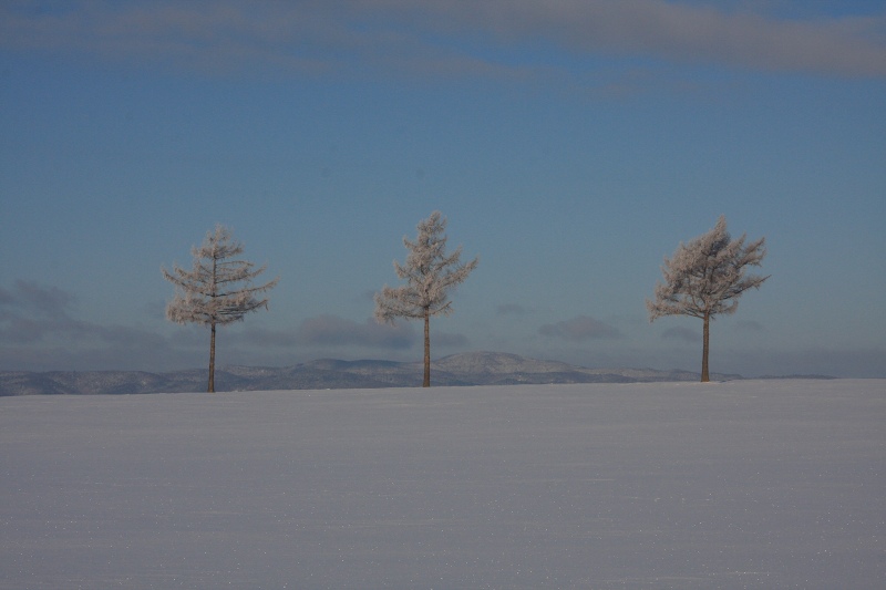 ファイル 16-5.jpg