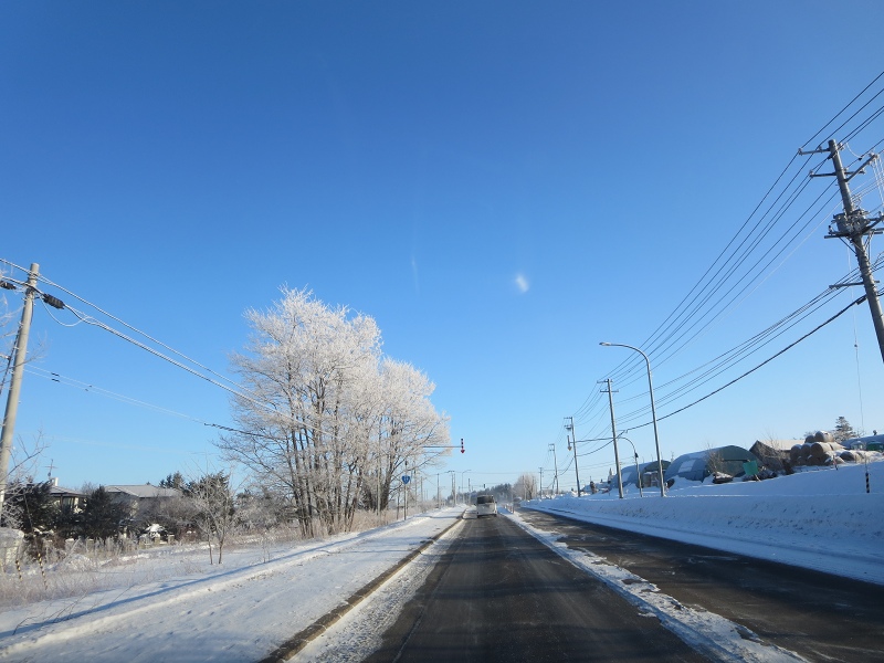 ファイル 16-6.jpg