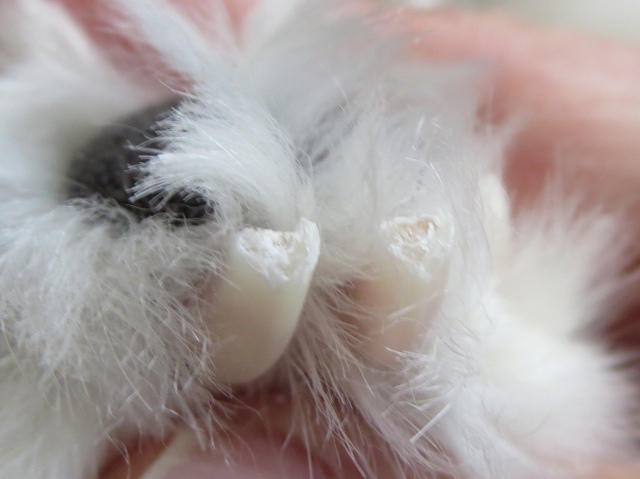 ファイル 18-2.jpg