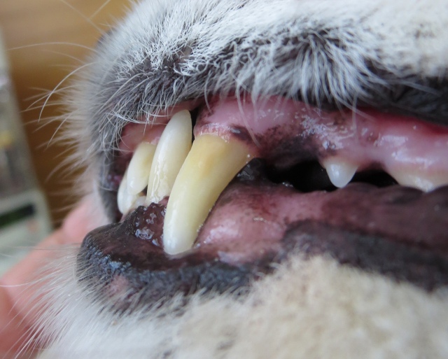 ファイル 18-3.jpg