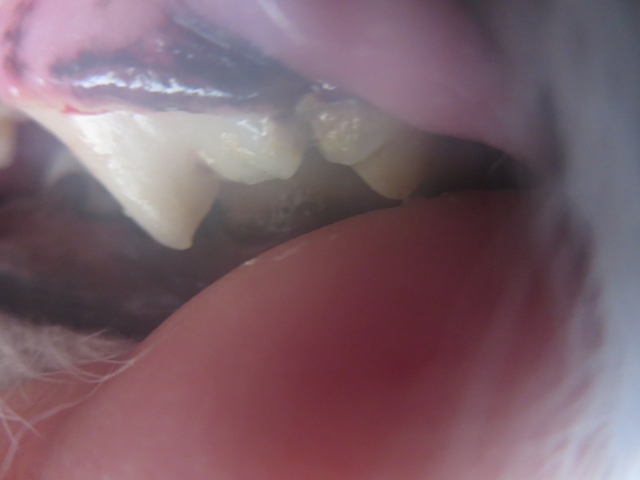 ファイル 18-6.jpg