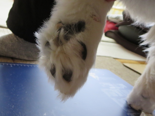 ファイル 18-7.jpg