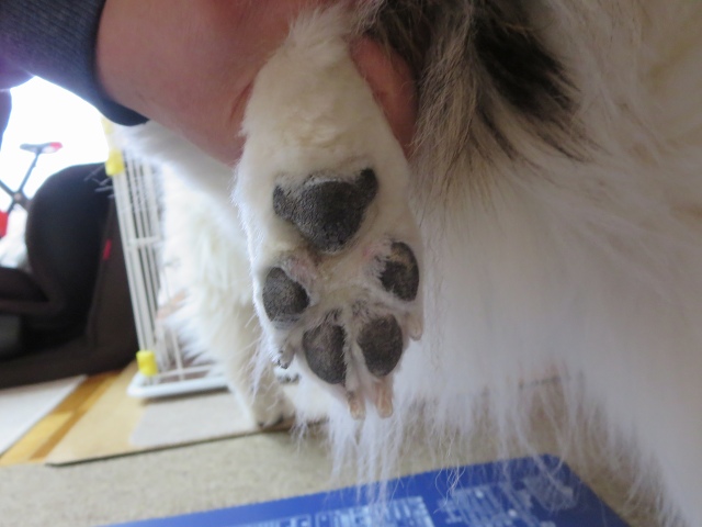 ファイル 18-8.jpg