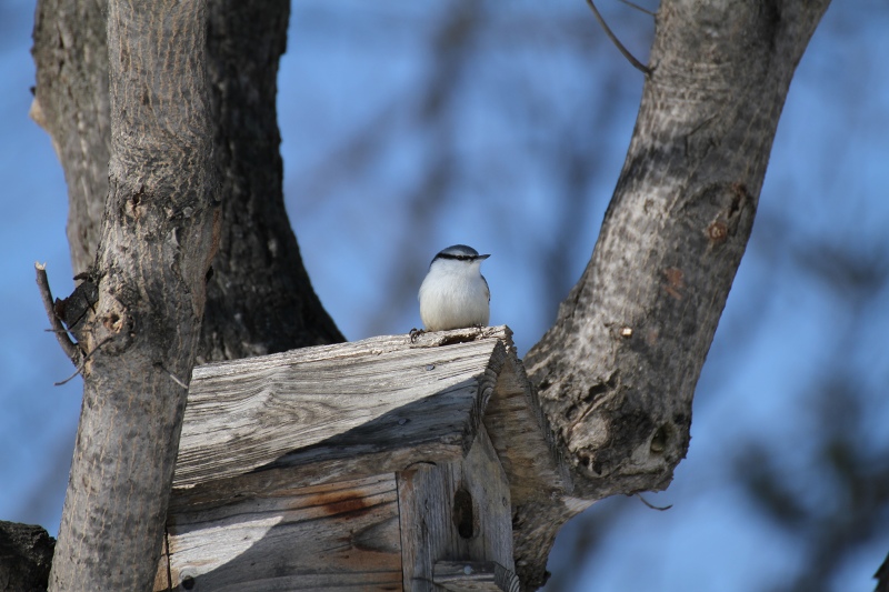 ファイル 19-2.jpg