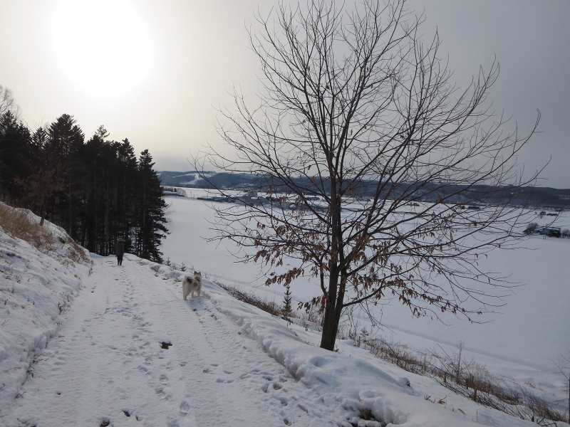 ファイル 19-4.jpg