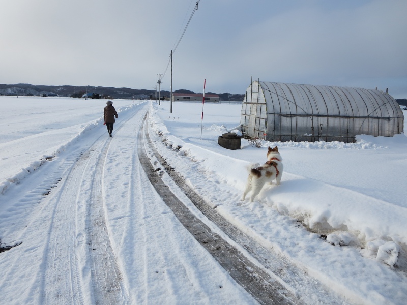 ファイル 19-6.jpg