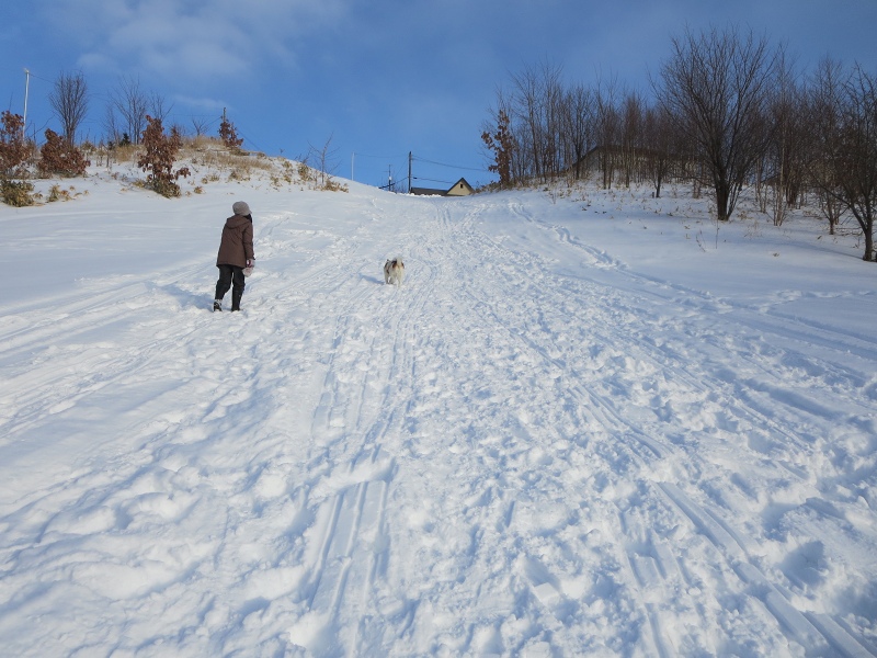 ファイル 19-7.jpg