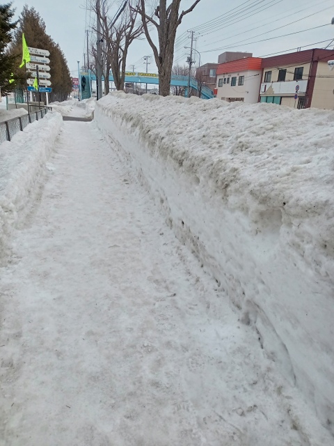 ファイル 21-1.jpg