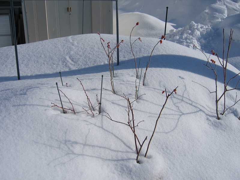 ファイル 22-9.jpg