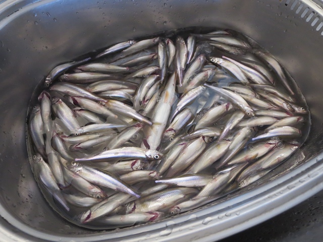 ファイル 23-7.jpg