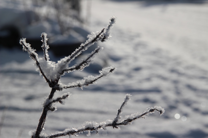 ファイル 26-1.jpg