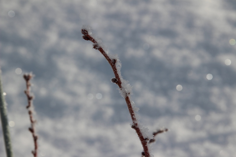 ファイル 26-2.jpg