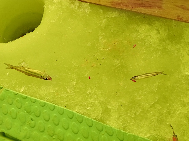 ファイル 27-3.jpg