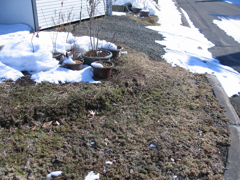 ファイル 27-5.jpg