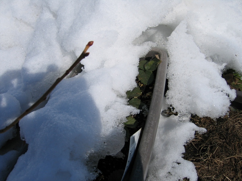 ファイル 27-6.jpg