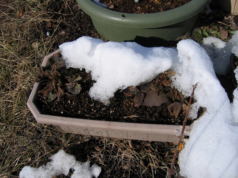 ファイル 27-7.jpg