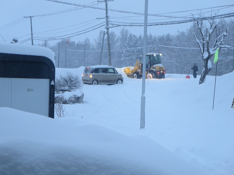 ファイル 28-2.jpg