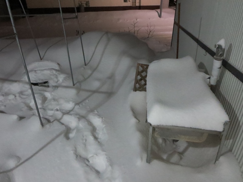 ファイル 28-8.jpg