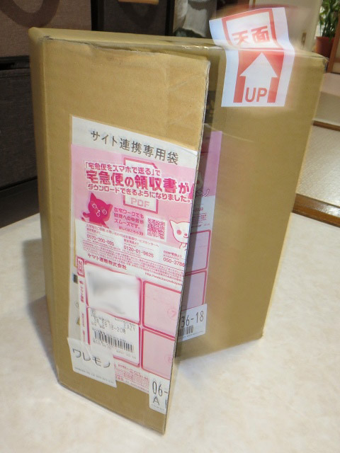 ファイル 30-1.jpg