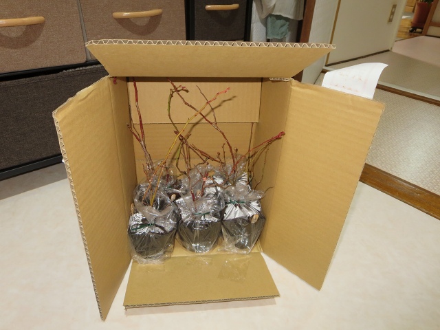 ファイル 30-2.jpg