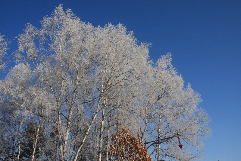 ファイル 31-1.jpg