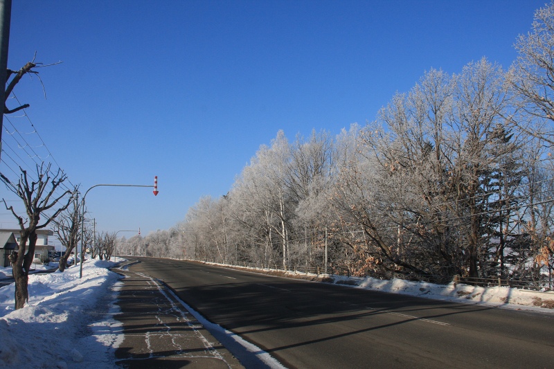 ファイル 31-2.jpg