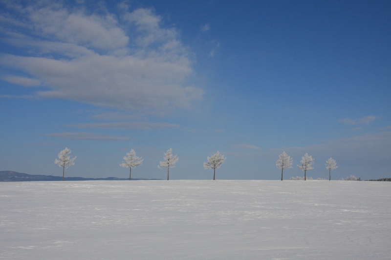 ファイル 31-5.jpg