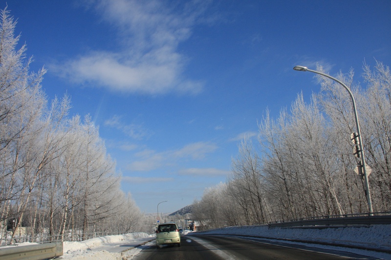 ファイル 31-7.jpg