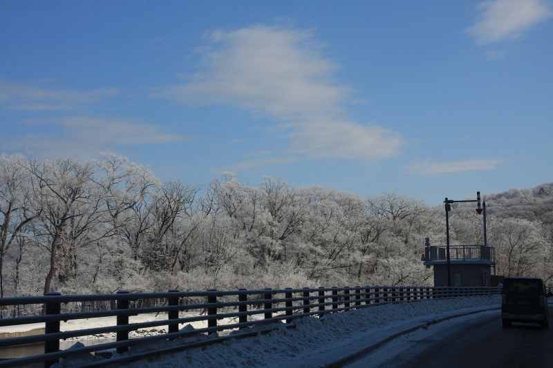 ファイル 31-8.jpg