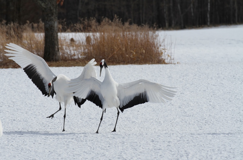 ファイル 34-5.jpg