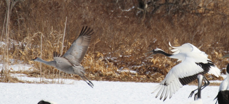 ファイル 34-6.jpg