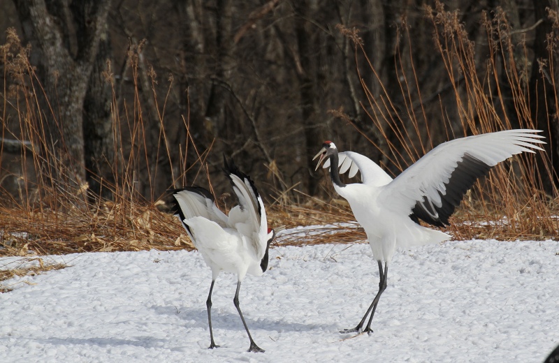 ファイル 34-7.jpg