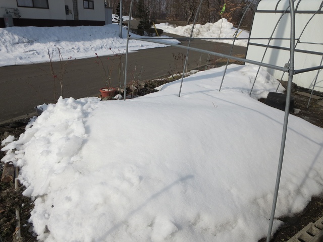 ファイル 35-1.jpg