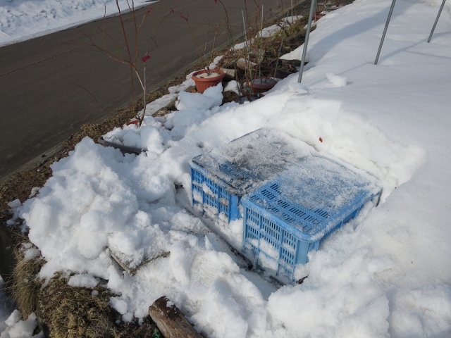 ファイル 35-2.jpg