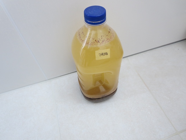 ファイル 35-3.jpg