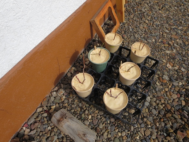 ファイル 35-5.jpg